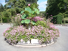 008 Longwood Gardens [2008 August 23]